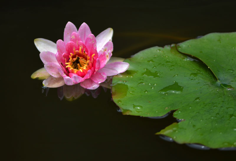 Ƭ 028.jpg