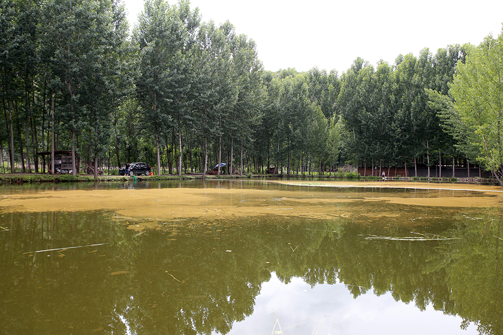 H46R1306.jpg