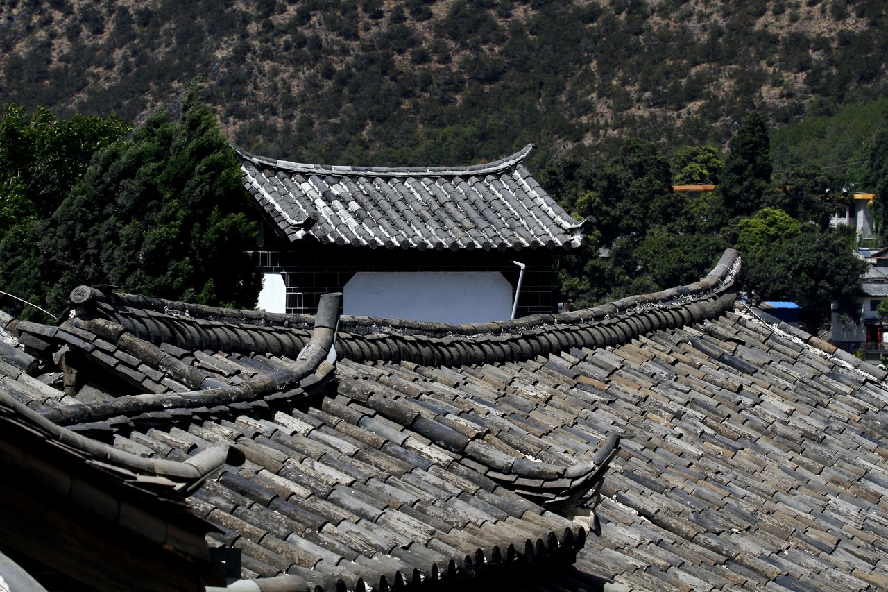 _MG_7013_conew1.jpg