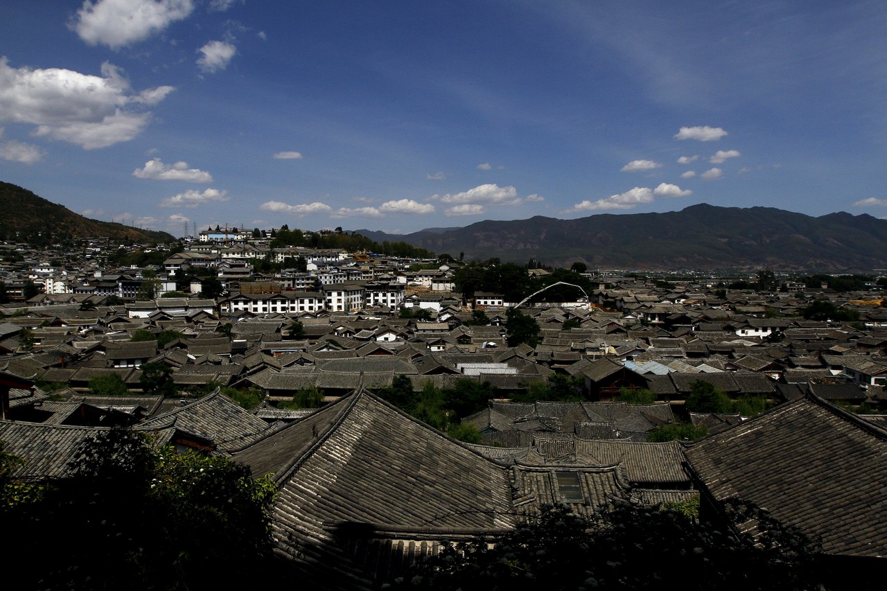 _MG_7049_conew1.jpg