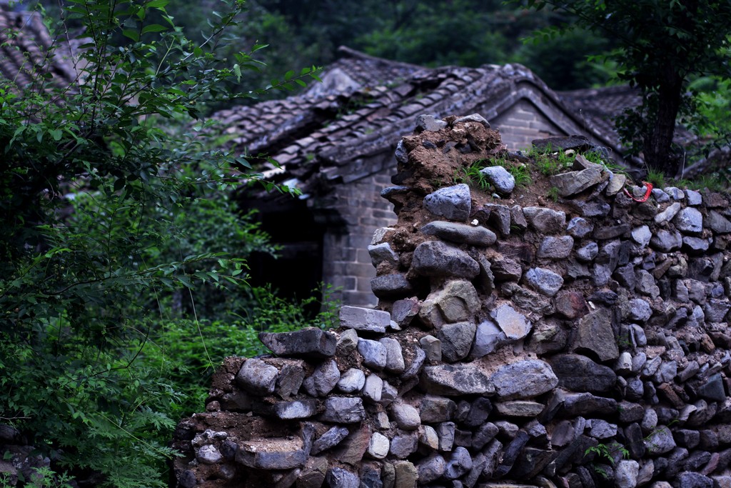 _MG_6858.jpg