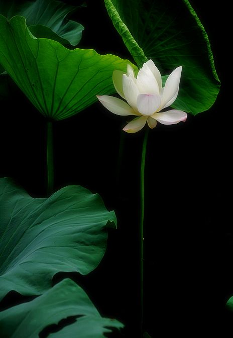 DSC_0226.JPG