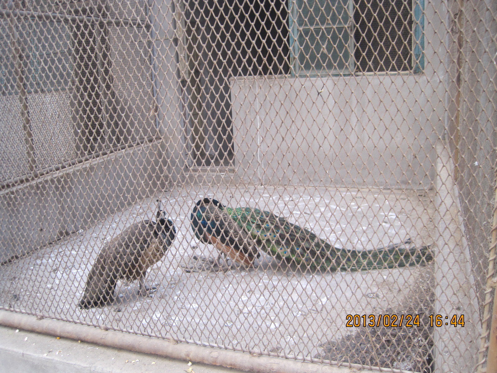 IMG_3866.jpg
