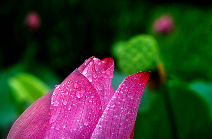 DSC_0308.JPG