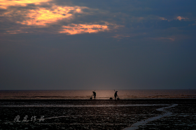 DSC_3673-nx-xc1.jpg
