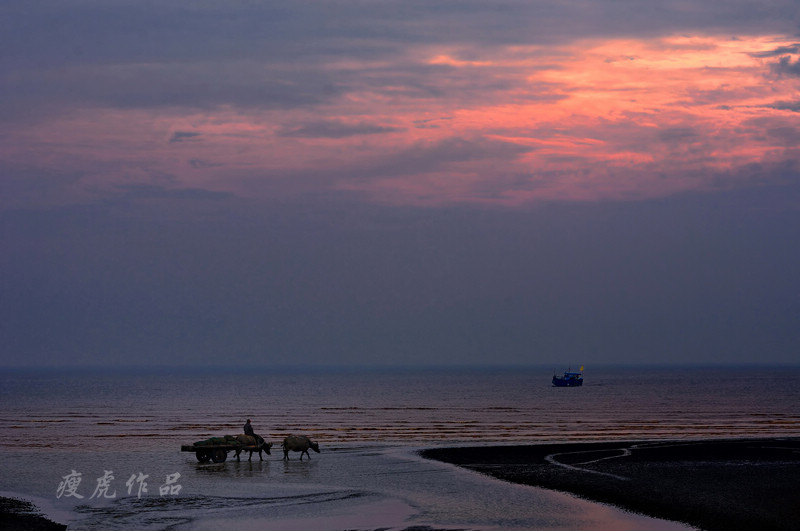 DSC_3818-nx-h-x-xc1.jpg