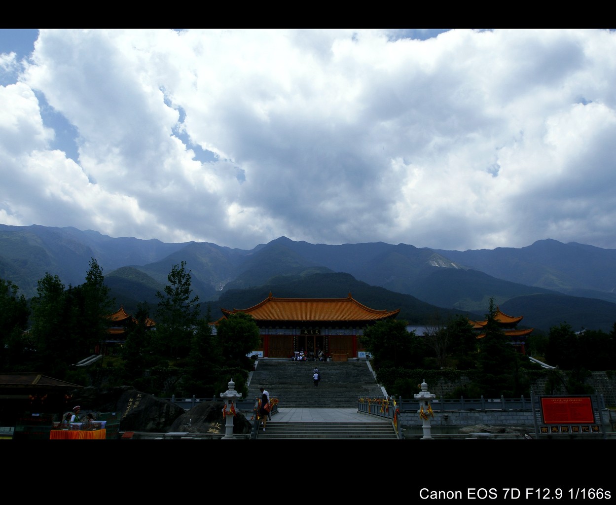 _MG_7748_conew1.jpg