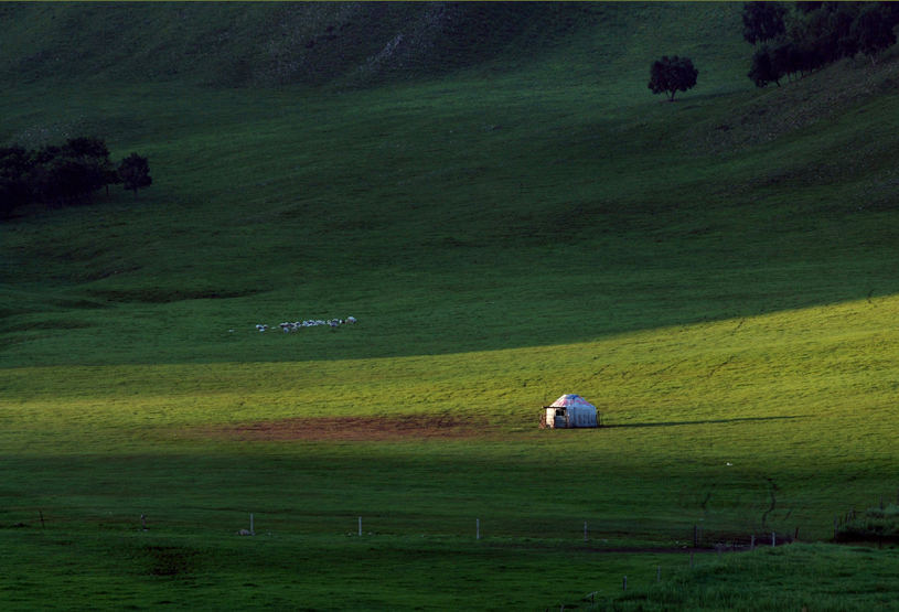 DSC_6993.JPG