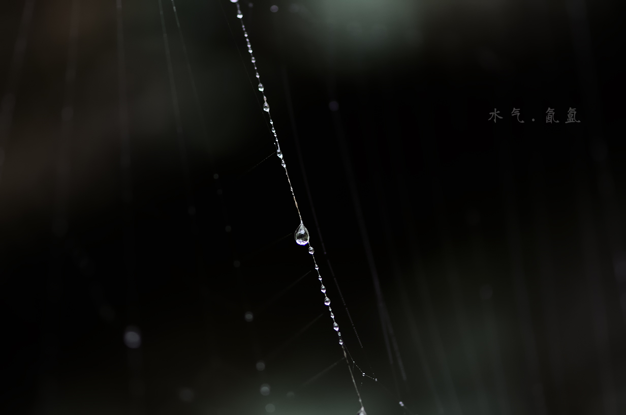 Ľ̬