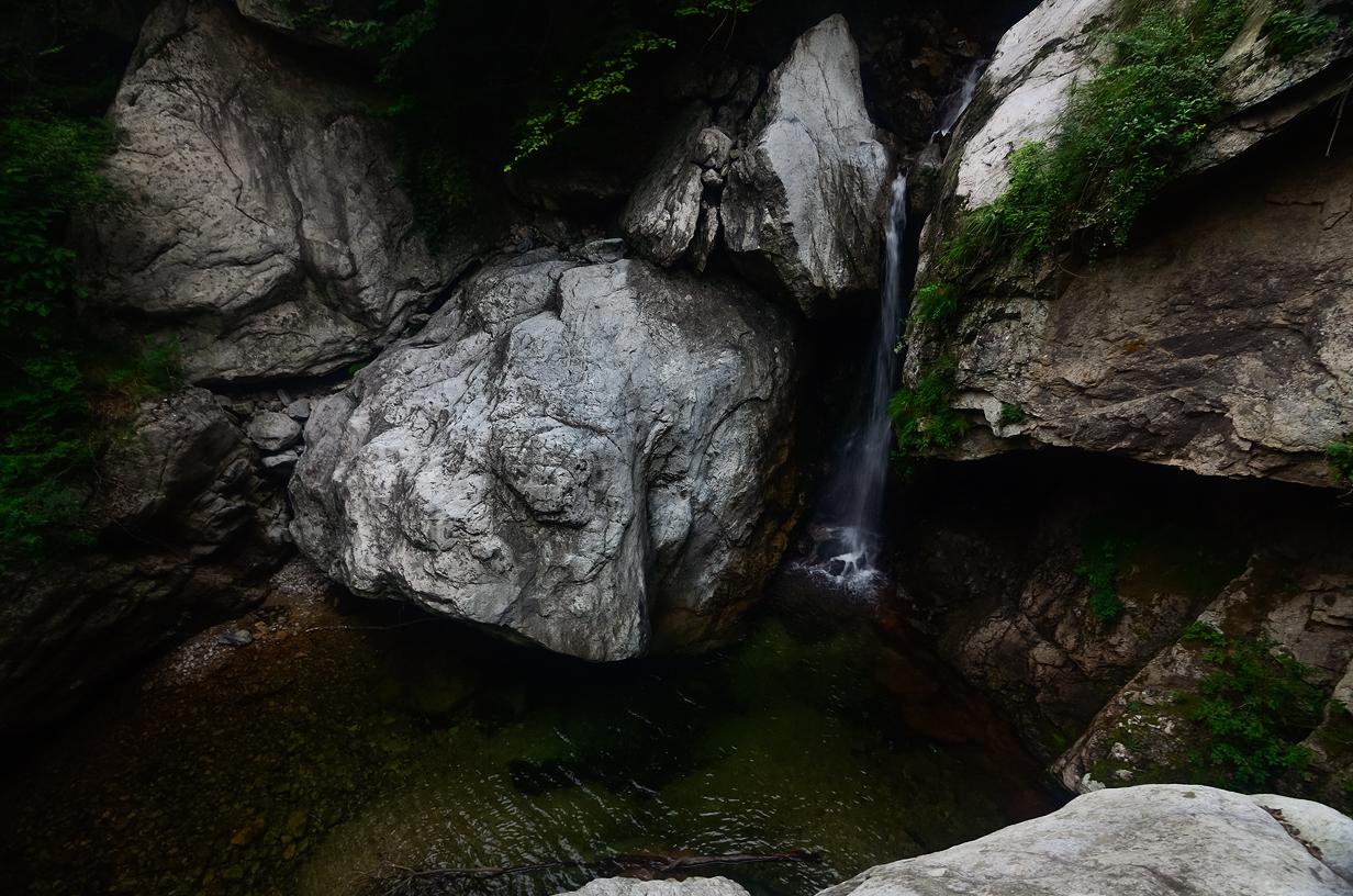 DSC_1283.jpg