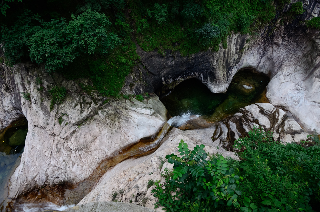 DSC_1291.jpg