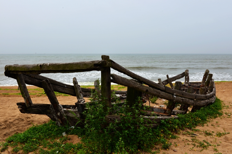 DSC_5499.jpg