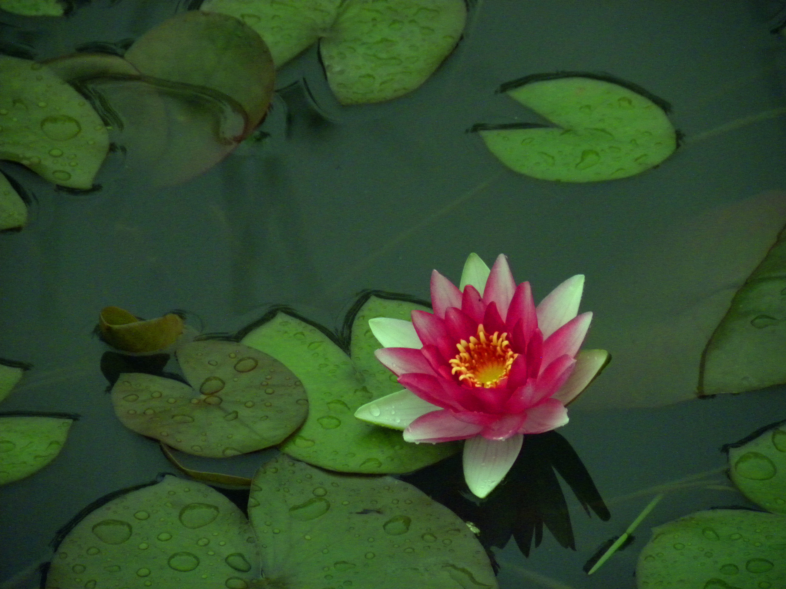 DSCN9823_.jpg
