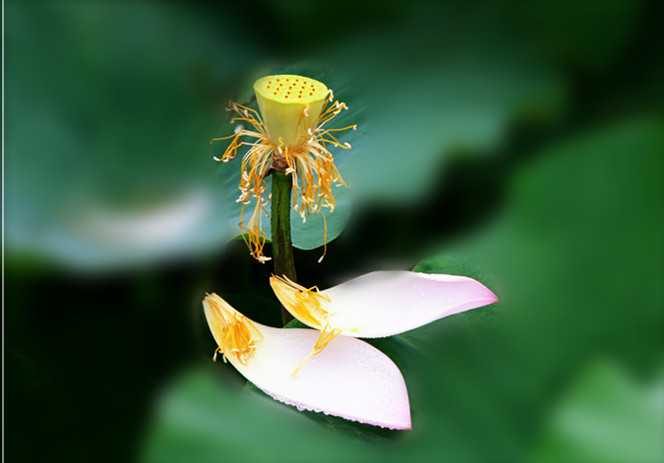 IMG_8983__.jpg
