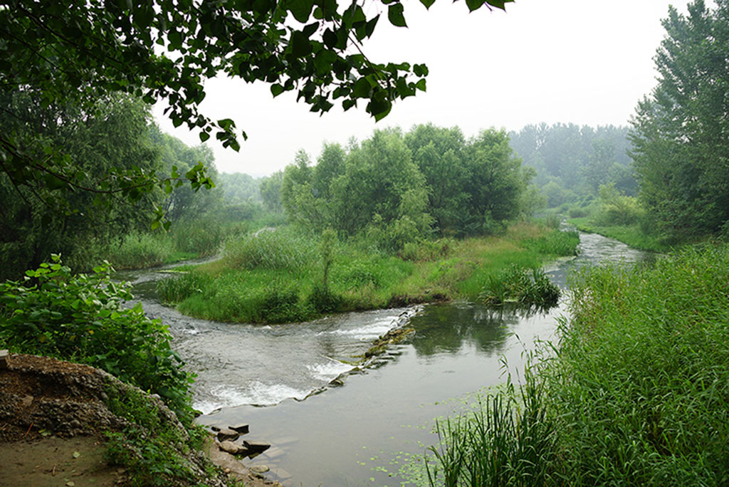 DSC01036.JPG
