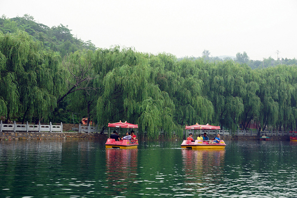 DSC01196.jpg