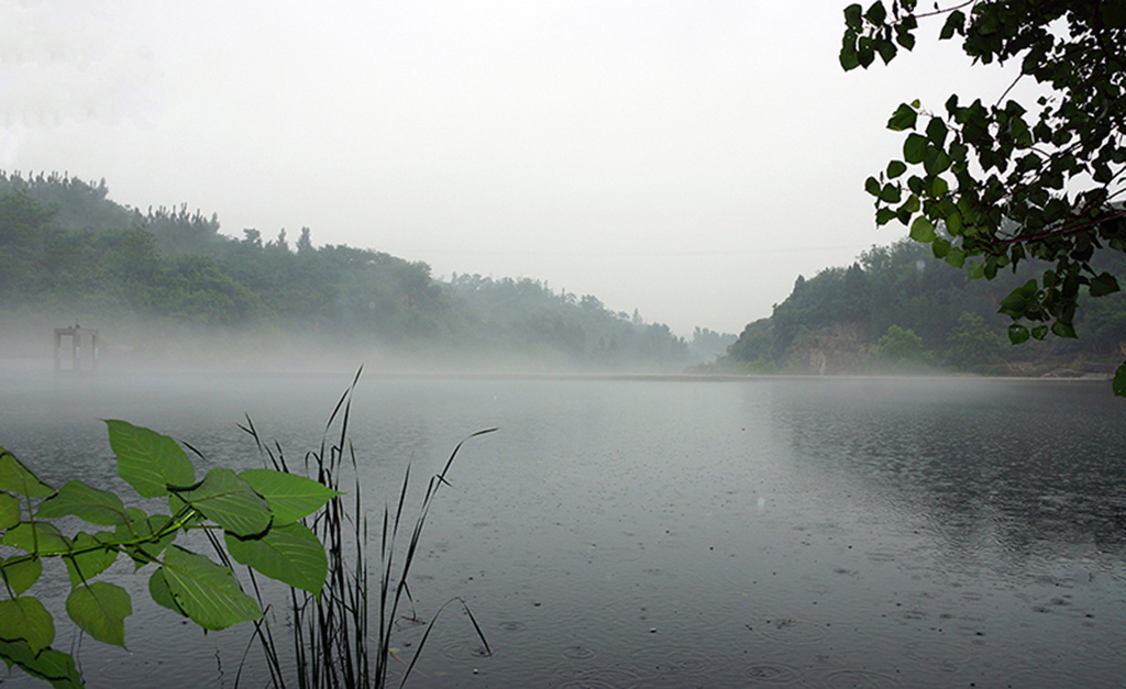DSC01226.jpg