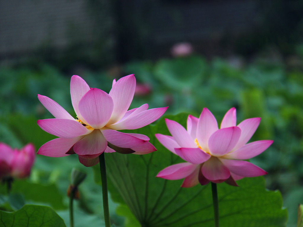 IMG_2783_副本.jpg
