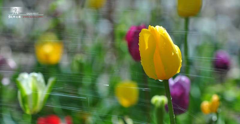 DSC_0100.jpg
