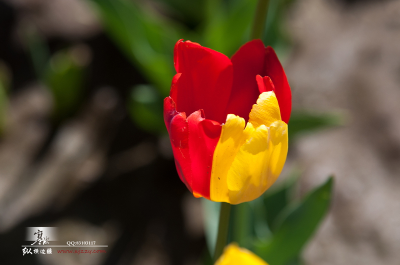 DSC_0153.jpg