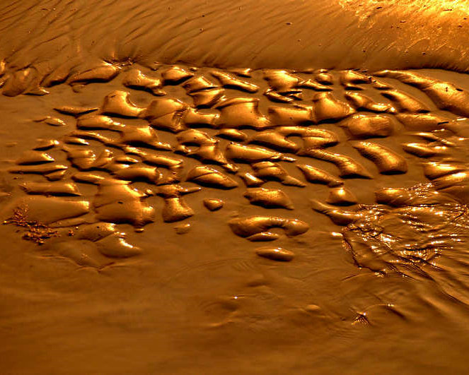 DSC_0066.JPG