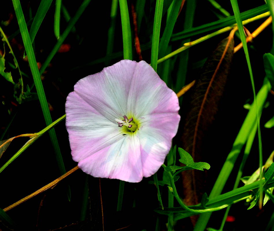 DSC_8326_3.jpg