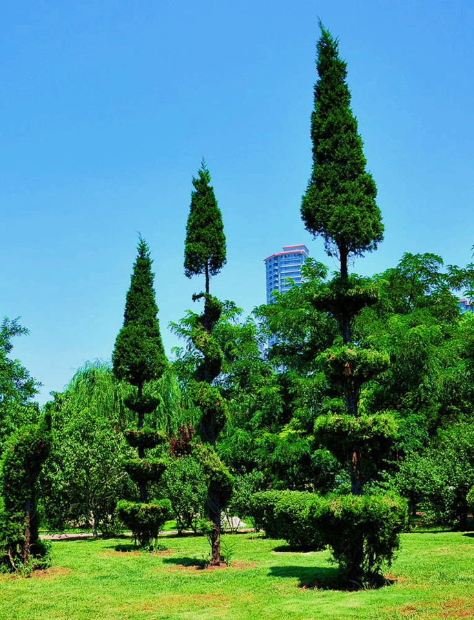 DSC_8359_3.jpg