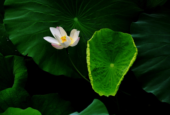 DSC_0301.JPG
