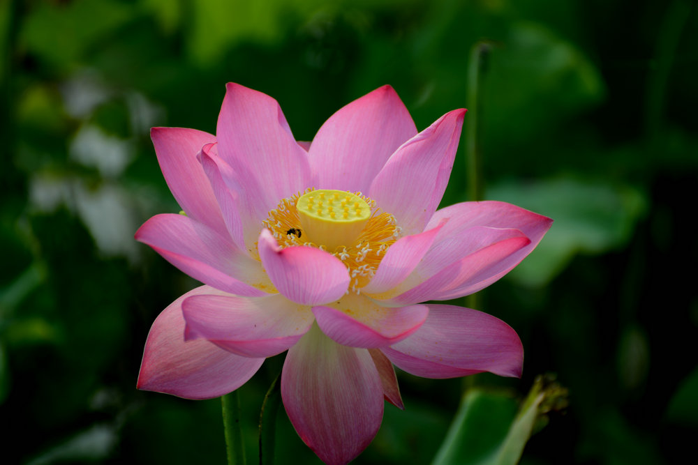 DSC_04432_.jpg