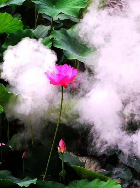 DSC_6095a.jpg