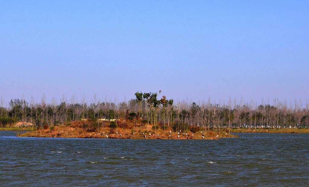 DSC_0015.JPG