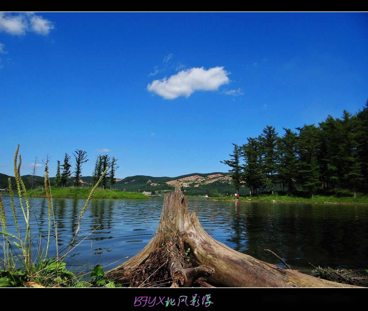 DSC07948_conew1.jpg