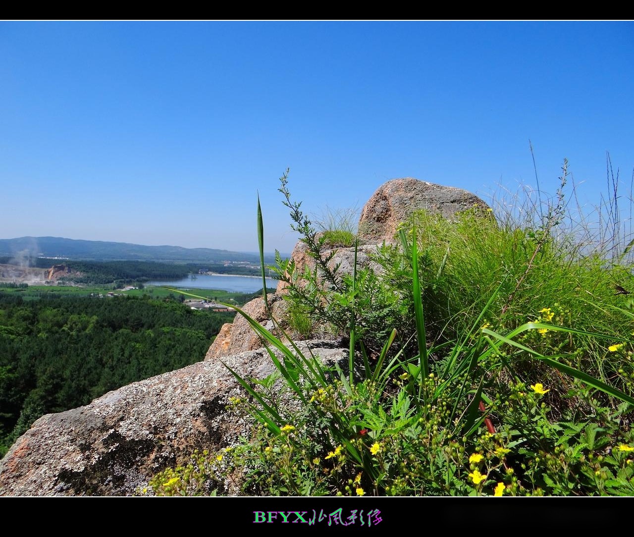 DSC07820_conew1.jpg