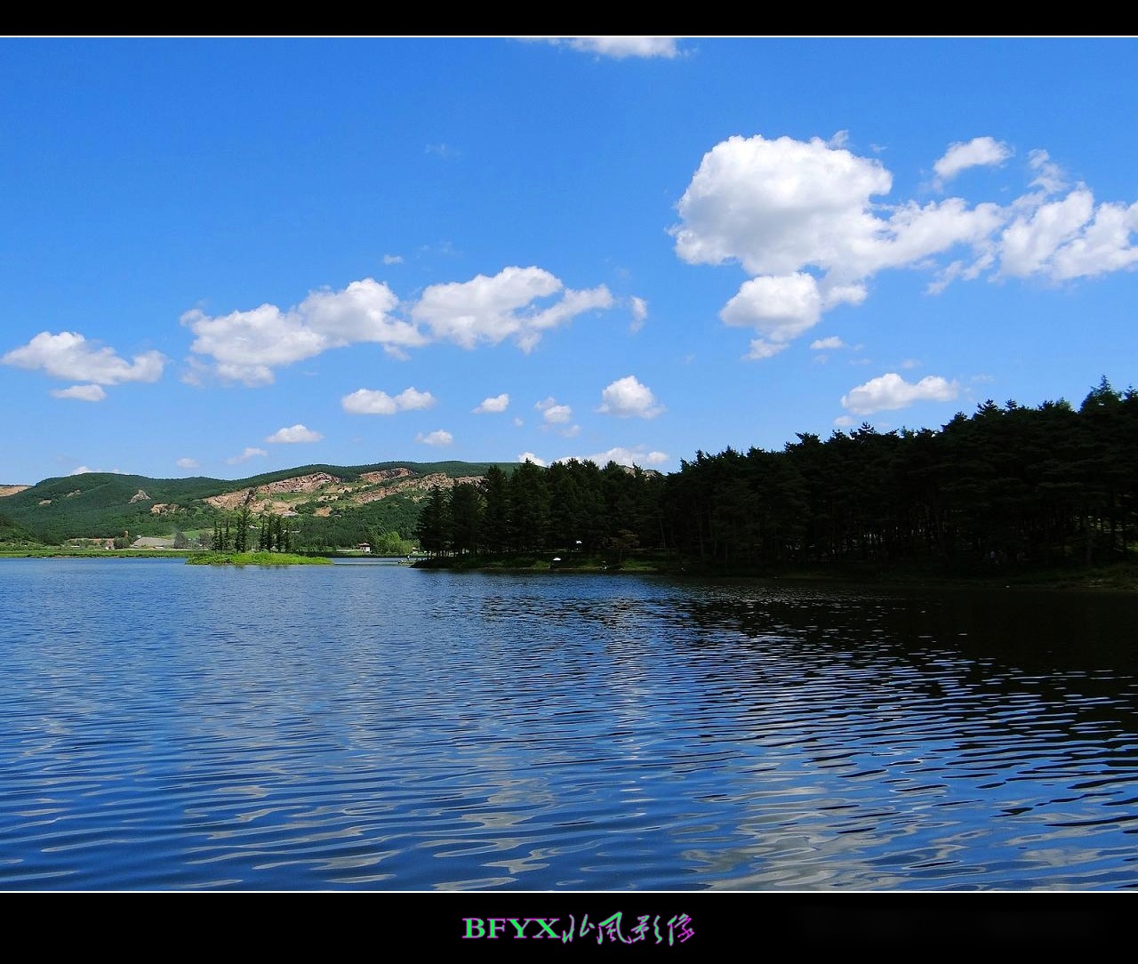 DSC07926_conew1.jpg