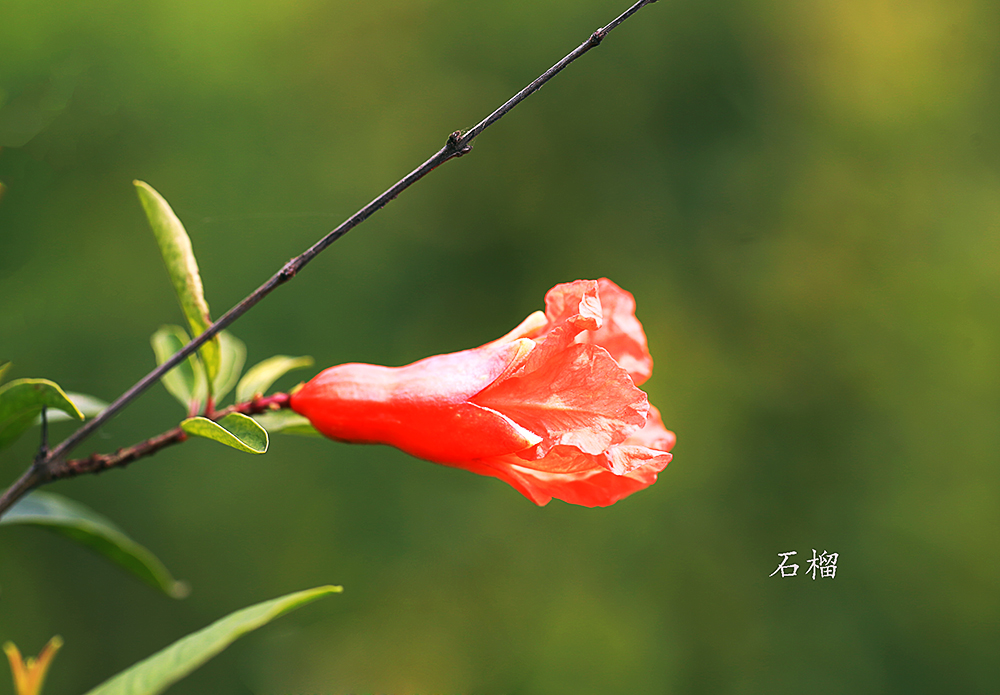 H46R3332.jpg