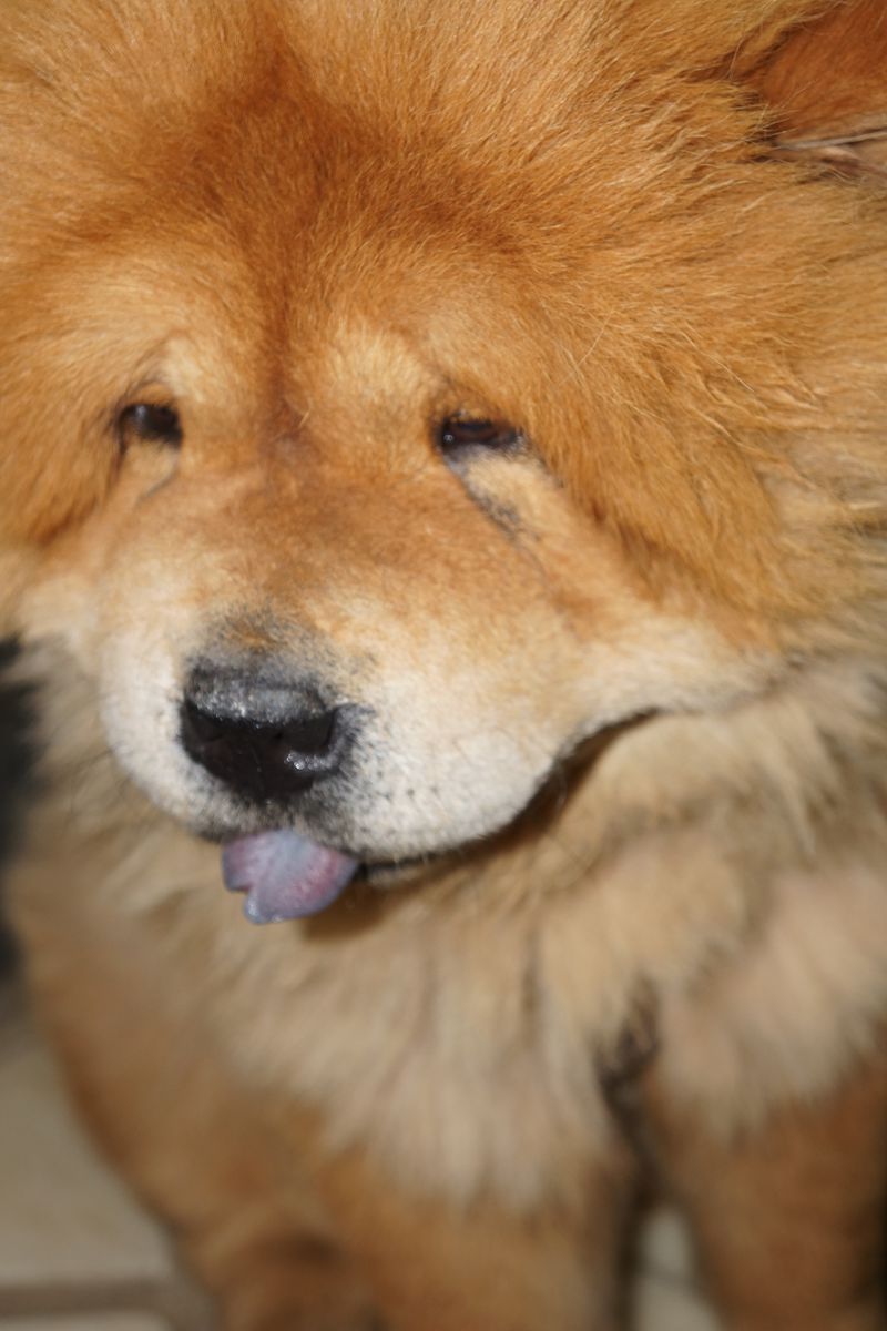 ʨܹ1.jpg