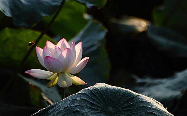 DPP_0068.jpg