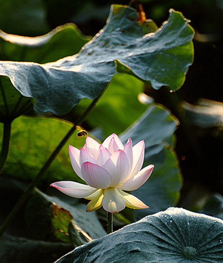 DPP_0070.jpg