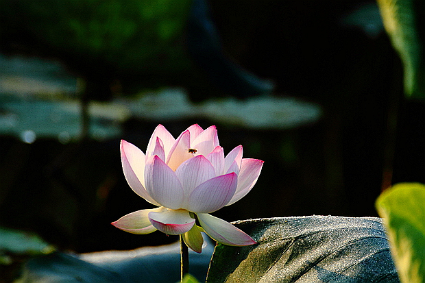 DPP_0065.jpg