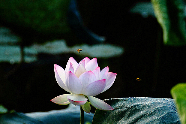 DPP_0067.jpg