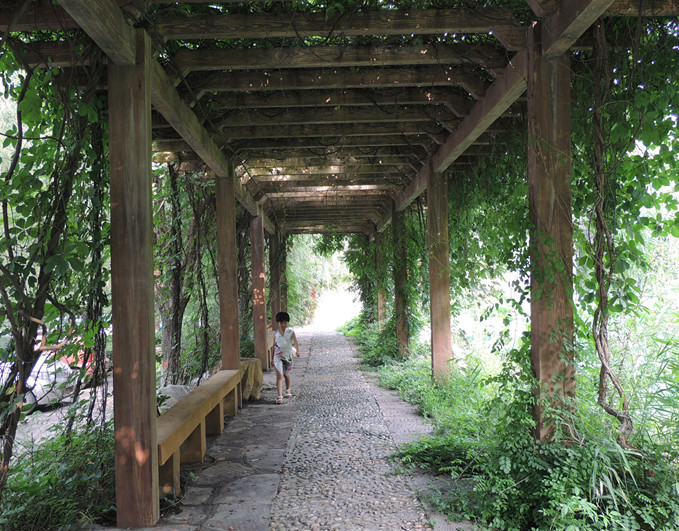 DSCN6496_.jpg