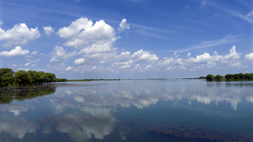 P1010915 .jpg