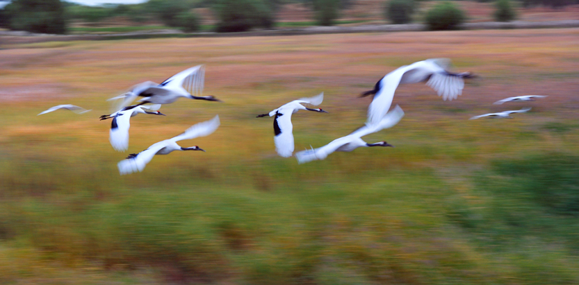 DSC_6228j .jpg