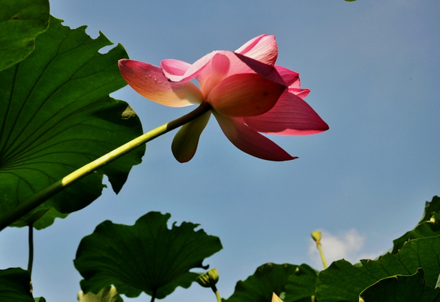 DSC_0080.JPG
