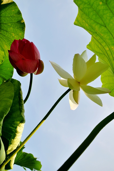 DSC_0056.JPG