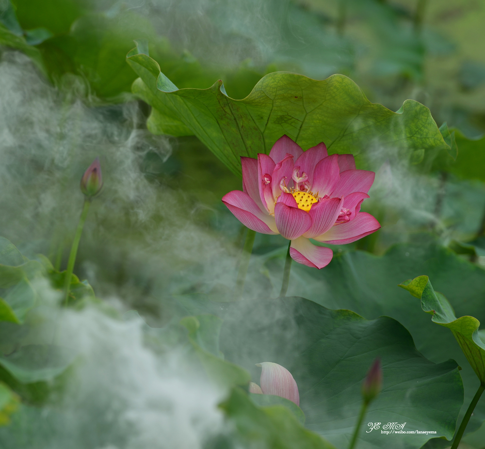 DSC_1107.jpg