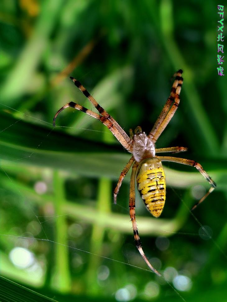 DSC08097_conew1.jpg