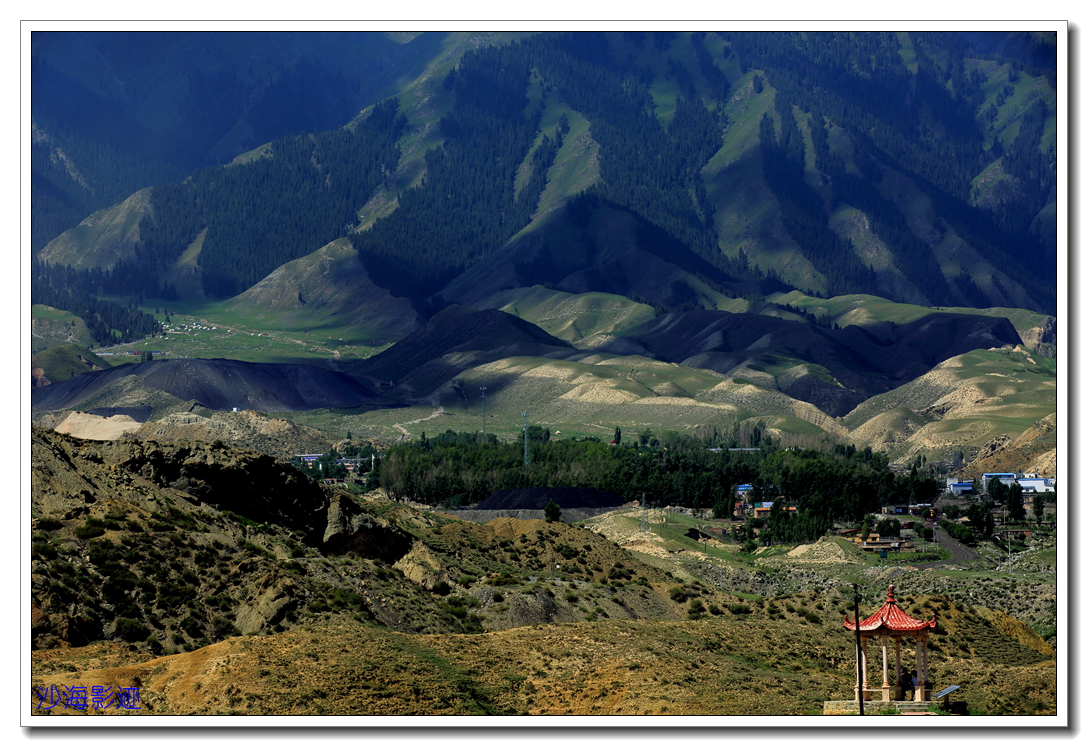 DPP_0050.jpg