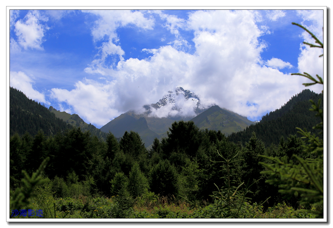 DPP_0085.jpg