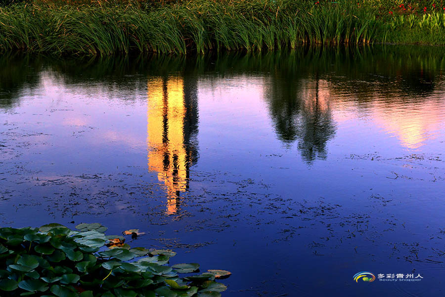 DSC_4963 .jpg